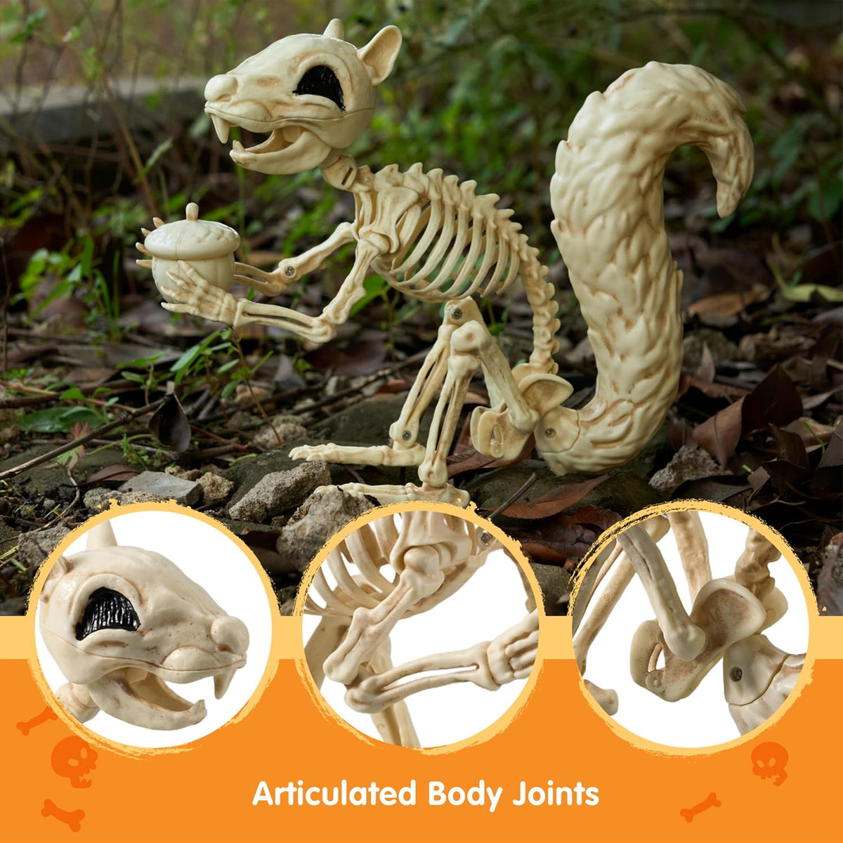 JOYIN Squirrel Skeleton Halloween Decoration 9.1 Inch Animal Posable Skeleton...