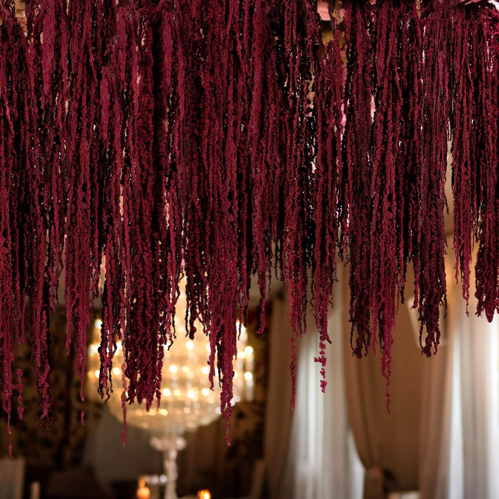 Suncalla 12 Pcs Red Spring Natural Dried Amaranthus Hanging Flowers Amaranthus Artificial Flowers for Wedding Arch Bouquet Floral Garland Wall Home Decoration (23 Inch)