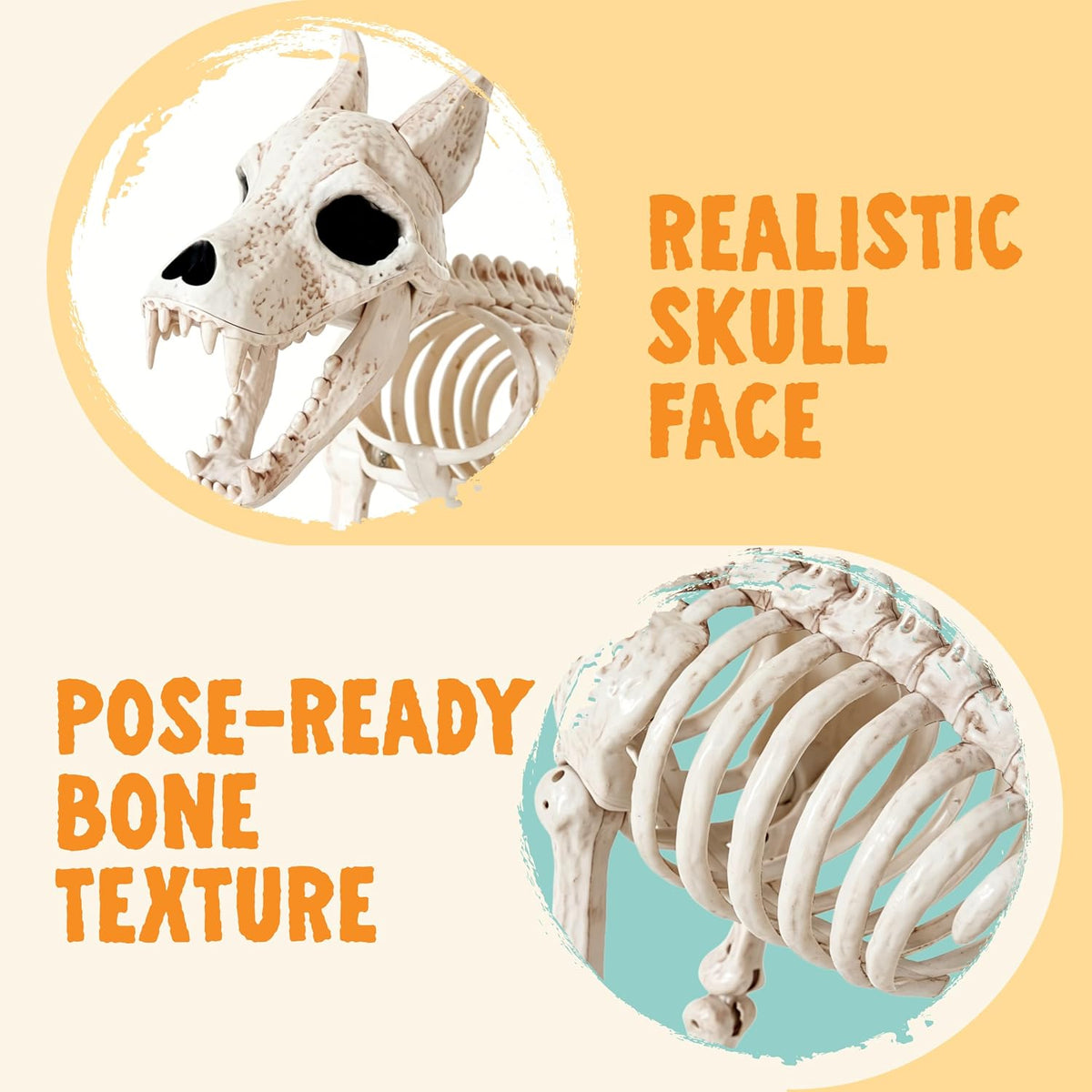 JOYIN 34” Wolf Skeleton Halloween Decoration, Plastic Animal Skeleton with Mo...