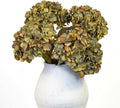 Fall Artificial Dried Hydrangea Flowers, Vintage Green Dried Look, Fall Faux Flowers, Single Stem (Autumn Green, 4pcs)