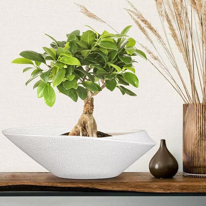 Bonsai Pots - 18 Inch Ceramic Plant Pot for Bonsai Tree, Modern Indoor & Outdoor Succulent Planter with Drainage, Room Decor, Gifts for Plant Lovers, White-Black