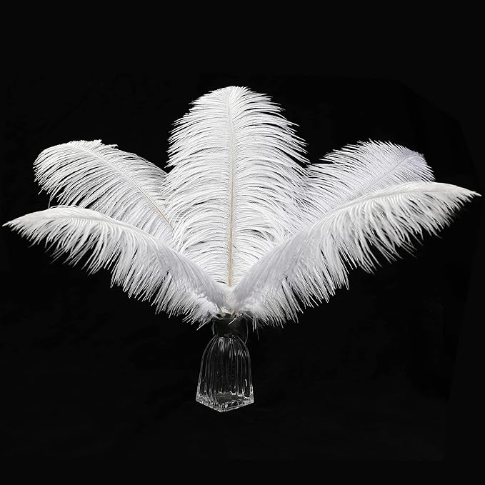 12pcs Natural White Ostrich Feathers 12-14inch (30-35cm) for Wedding Party Centerpieces，Flower Arrangement and Home Decoration.