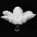 12pcs Natural White Ostrich Feathers 12-14inch (30-35cm) for Wedding Party Centerpieces，Flower Arrangement and Home Decoration.