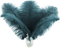 Ballinger Teal Ostrich Feathers Bulk - 24Pcs 8-10inch Feathers for Party Centerpieces,DIY Crafts and Home Decor