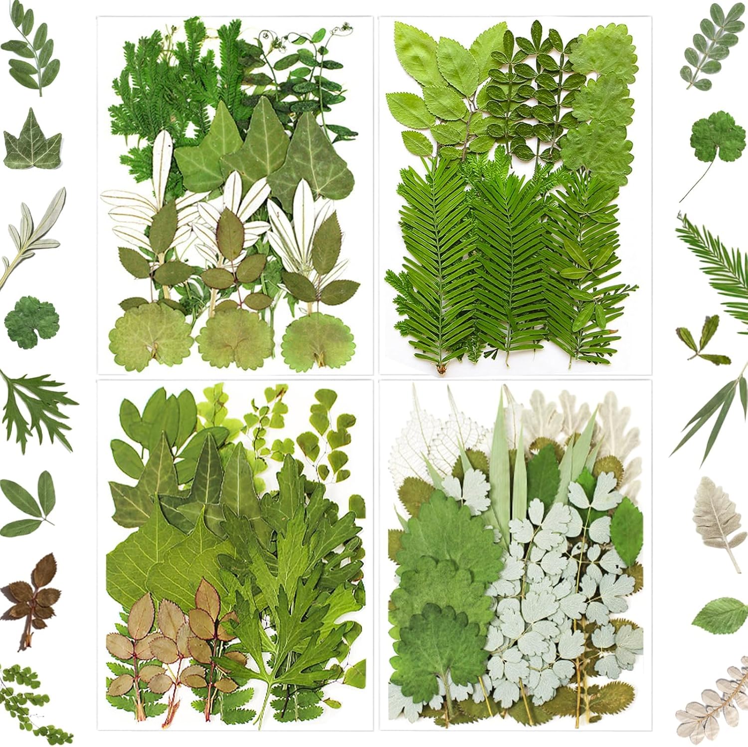 MIKIYA 84Pcs Pressed Dried Leaves for Resin Molds, Assorted Real Natural Bulk Dry Flowers for DIY Art Crafts, Epoxy Jewelry, Candle, Soap Making, Nails Decors Gifts