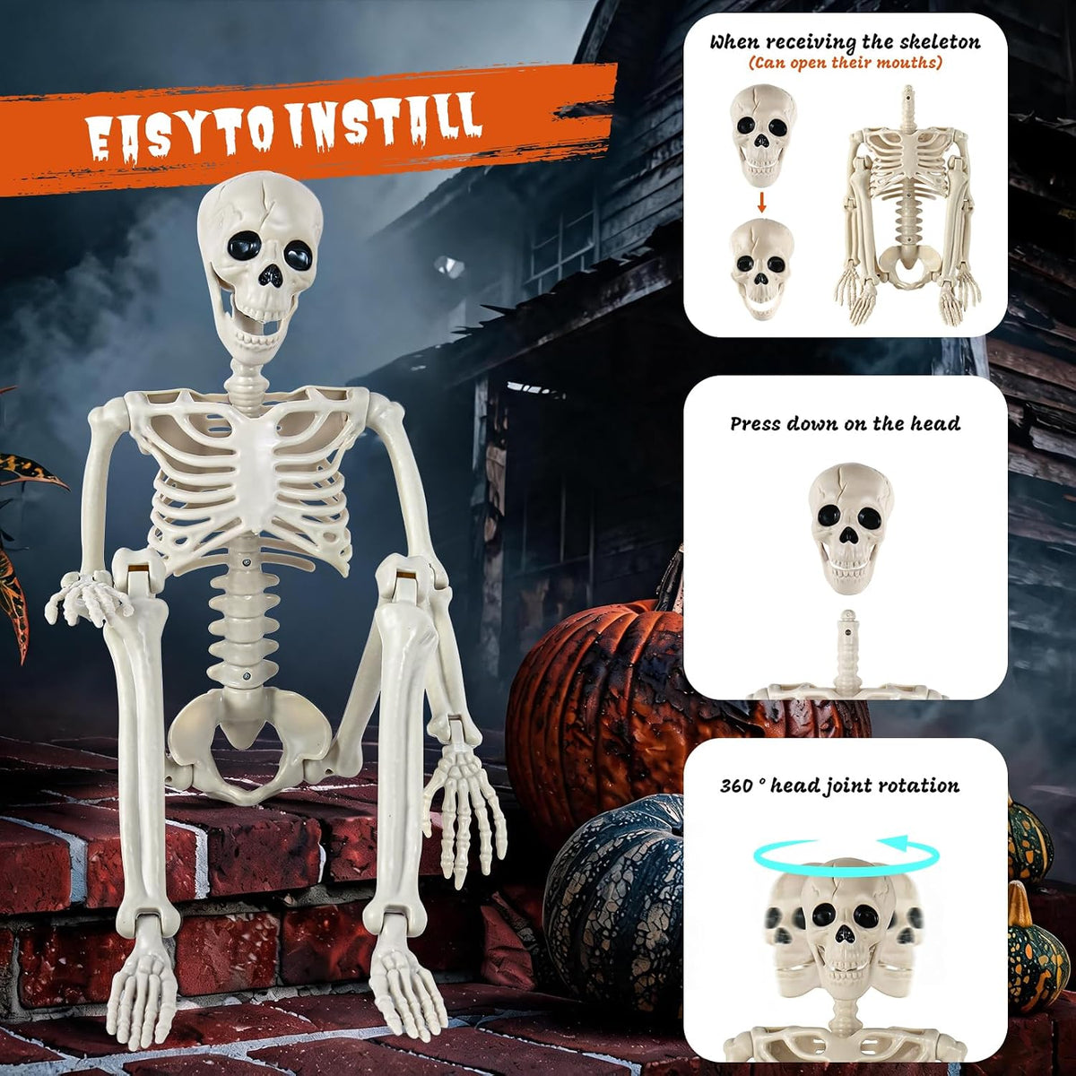 DWTS 2 Pack 36" Skeletons for Halloween - 3 Ft Life Size Human Skeleton ...
