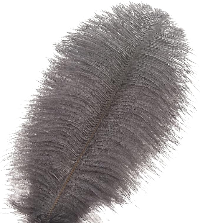 Ballinger Natural Gray Ostrich Feathers - 24pcs 8-10inch for Wedding Party Centerpieces Home Decor