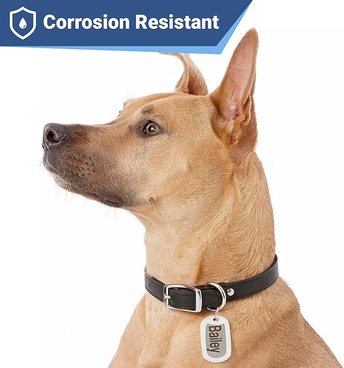 GoTags Stainless Steel Pet ID Tags, Personalized Dog Tags and Cat Tags, up to 8 Lines of Custom Text, Engraved on Both Sides, in Bone, Round, Heart, Bowtie and More (Rectangle, Small (Pack of 1))