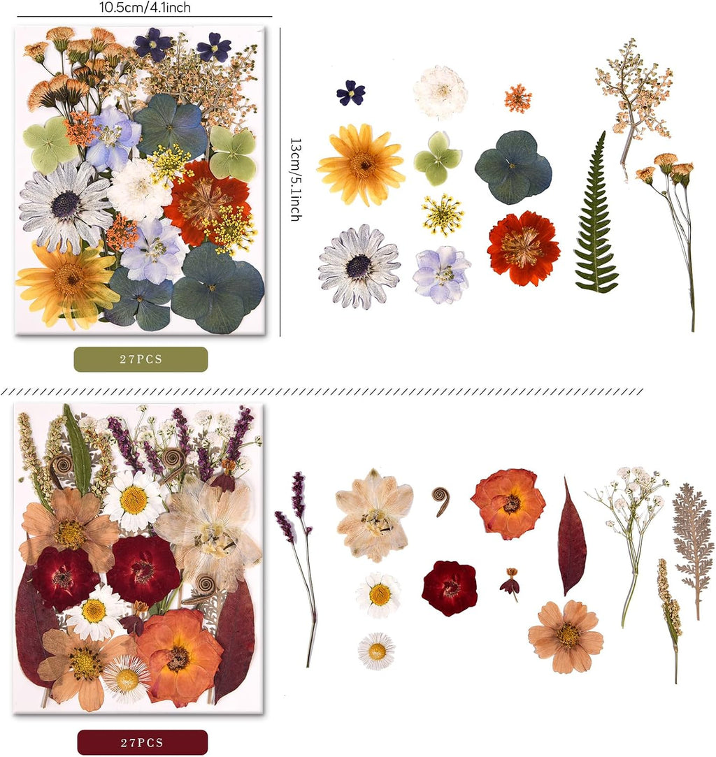 5 Packs of 140 Pressed Dried Flowers and Leaves for Resin | Assorted Real Natural Dry Flowers with Tweezers For DIY Crafts, Jewelry, Card Making, Soap,Candles, Nail Art, Scrapbooking