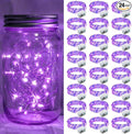 24 Pack Purple Fairy Lights 7Ft 20 LED Twinkle String Lights 3 Modes Battery Operated Waterproof Firefly Starry for Mason Jar Party Wedding Christmas Valentines Day Table Centerpieces