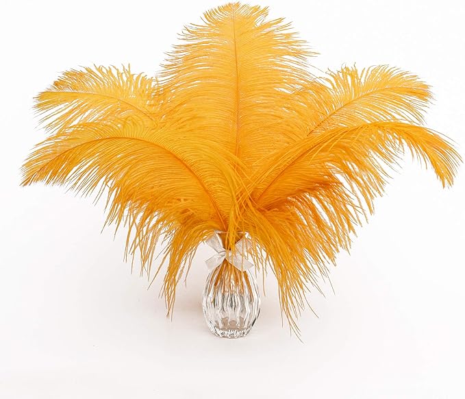 24pcs Natural Luxury Gold Ostrich Feathers 10-12inch (25-30cm) for Wedding Party Centerpieces，Flower Arrangement and Home Decoration.