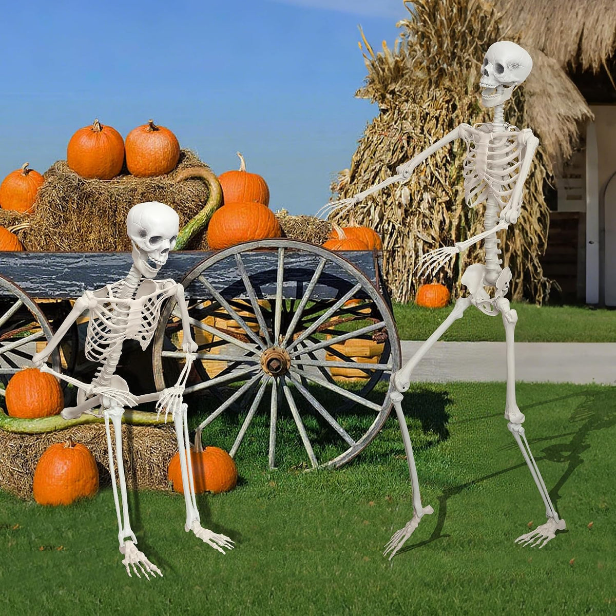 5.9Ft/180cm Giant Skeleton Poseable Skeleton Realistic Full Body Bones for Ha...