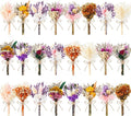 12/24 PCS Charming Dried Flowers Bouquet for Vase Various Dried Wildflowers with Stems Mini Handmade Wildflowers Natural Real Flowers Bulk Flowers Craft (Blossoms, 24 PCS)