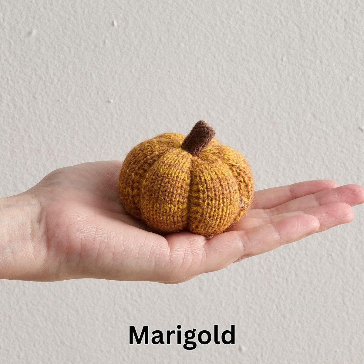 Cozy Mini Knit Pumpkin Set of 12 (Spiced Maple Full Set)