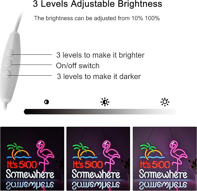 Flamingo Its 5 00 O'clock Somewhere Neon Sign for Wall Décor Dimmable LED Bar Beer Neon Light USB Powered Neon Art Signs