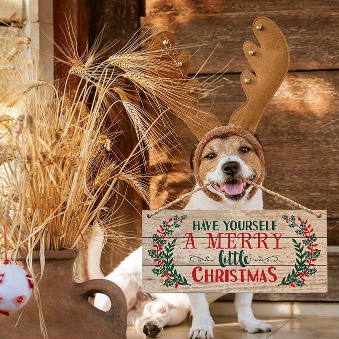 Christmas Door Hanging Sign，Big Wall Wood Winter Decorations Signs，Indoor Outdoor Decorative Ornament for Home, Classroom, Office（7 x 13.8x 0.2 inches）