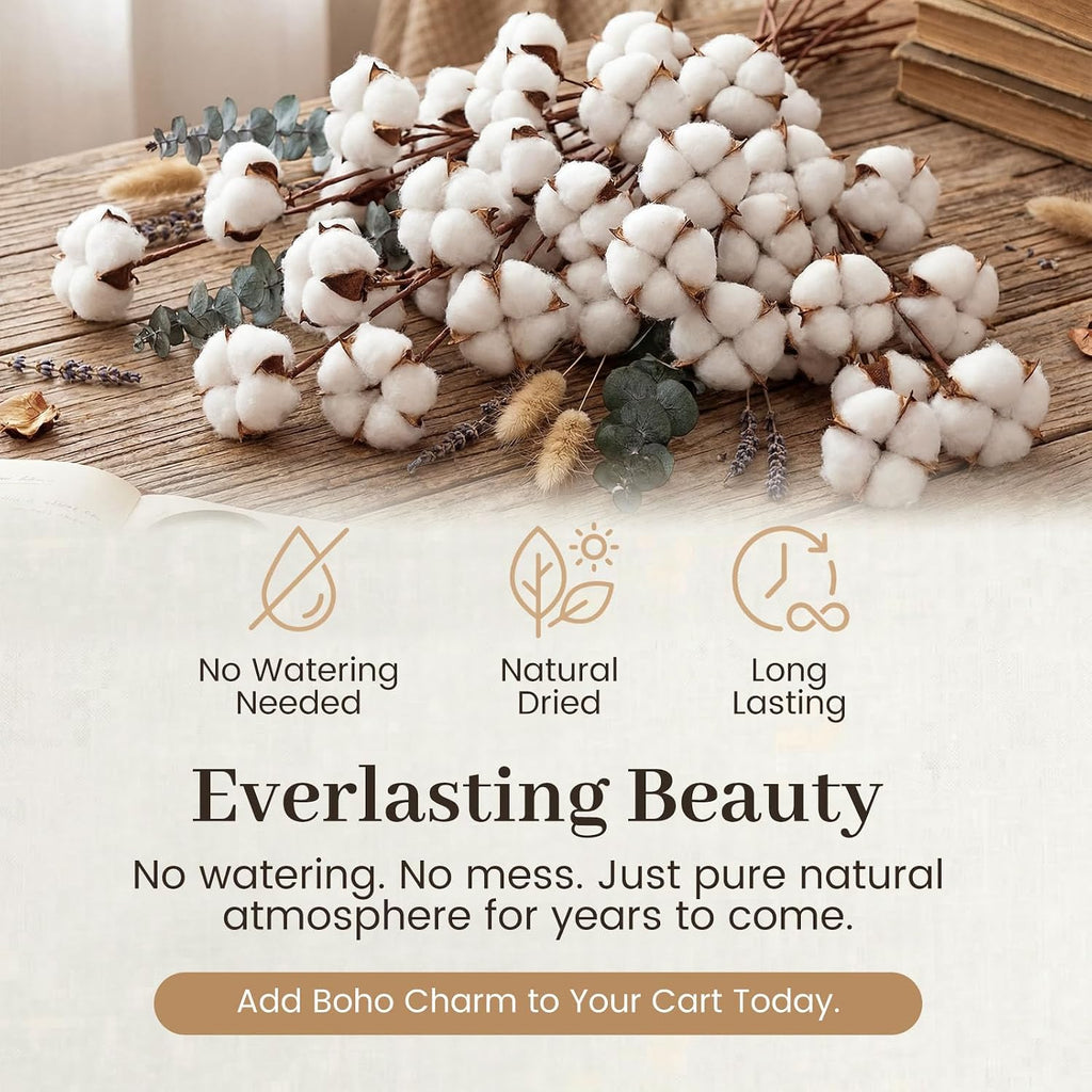 DomeStar Cotton Stems 8 Packs with 15 Bolls, Natural Dried Flowers Cotton Sprigs for Vase Fillers and Floral Arrangements - Fall Decorations and DIY Crafts