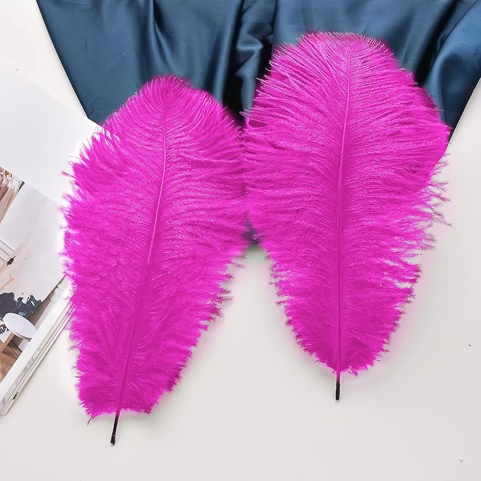 Ballinger Fuchsia Large Ostrich Feathers - 24pcs 8-10inch Hot Pink Feathers for Party Centerpieces, Flower Arrangement and Home Decor