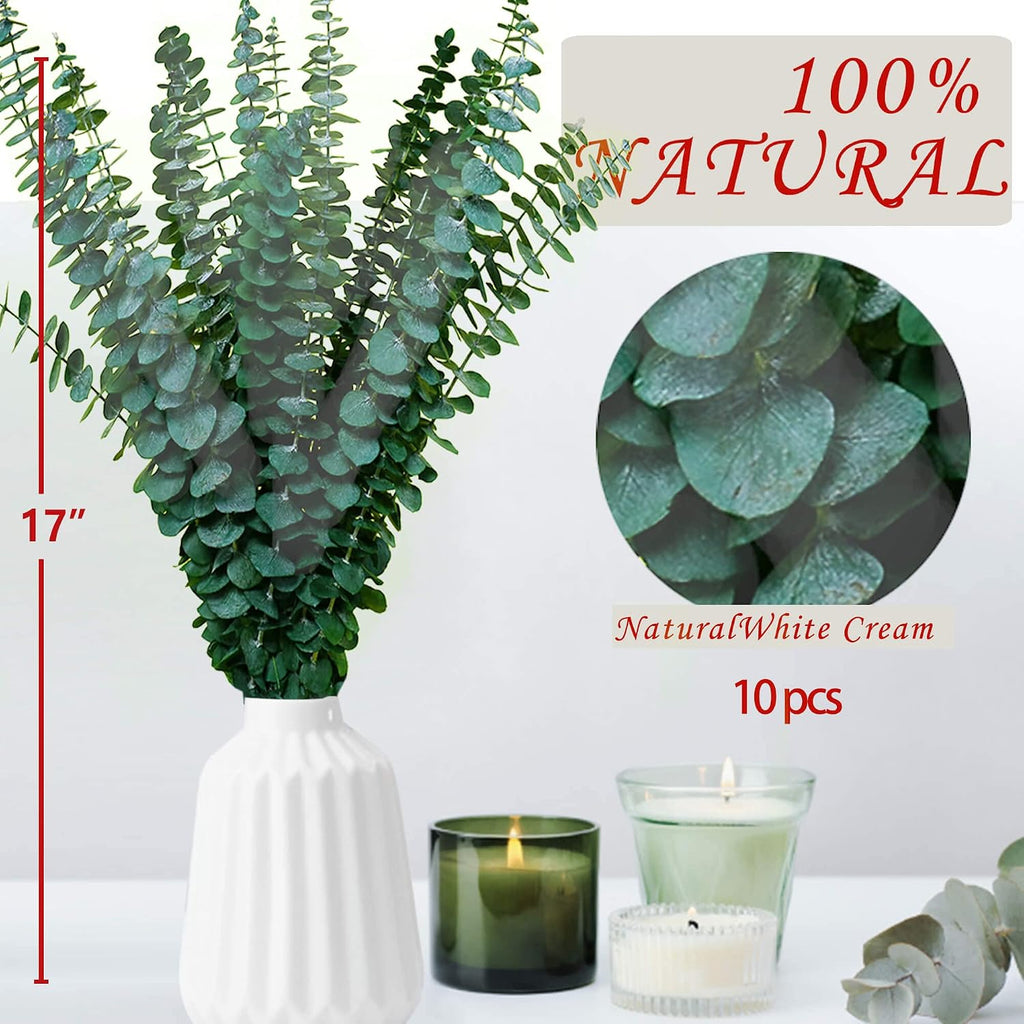10Pcs Dried Eucalyptus Stems, 17" Real Natural Hanging Eucalyptus for Shower, Made from Fresh Leaves Branches, DIY for Vase Filler, Wedding, Bathroom, Home Decor, Dried Flowers Accessories Decor