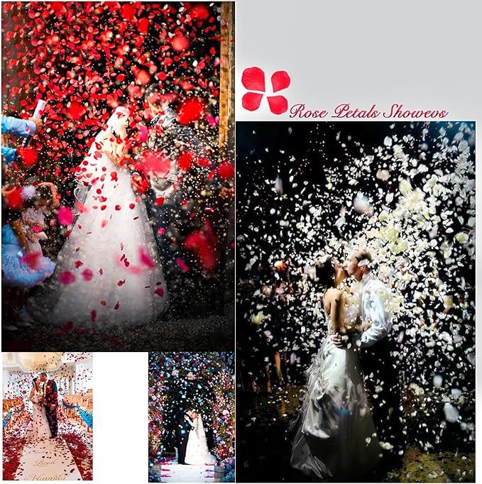 2000Pcs Rose Petals, Artificial Flower Petals Fake Rose Petals for Romantic Night,Wedding,Proposal Anniversary Flower Decorations (Big Red Dot Black, 2000pcs)