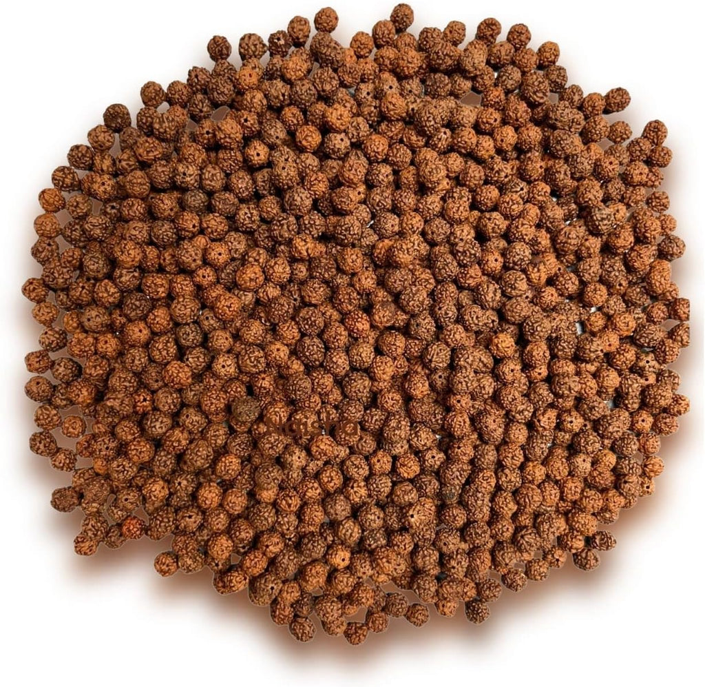 naisha 1001 pcs natural rudraksha beads, 8mm loose, main product view