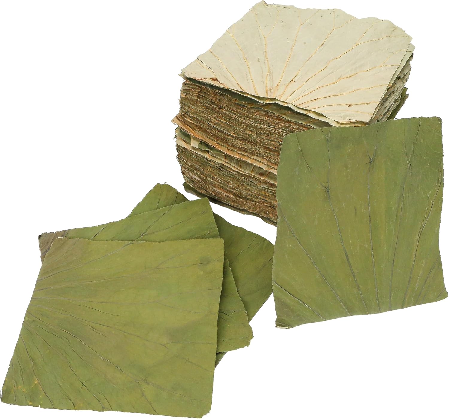 100 PCS Dried Lotus Leaves Food Wrap for Cooking/Decoration, Natural Whole Sheets Square Cutting, Organic Wrapper for Sticky Rice Sushi Dim Sum Lo Mai Gai, Party Making and Serving Plates (8x8 inch)