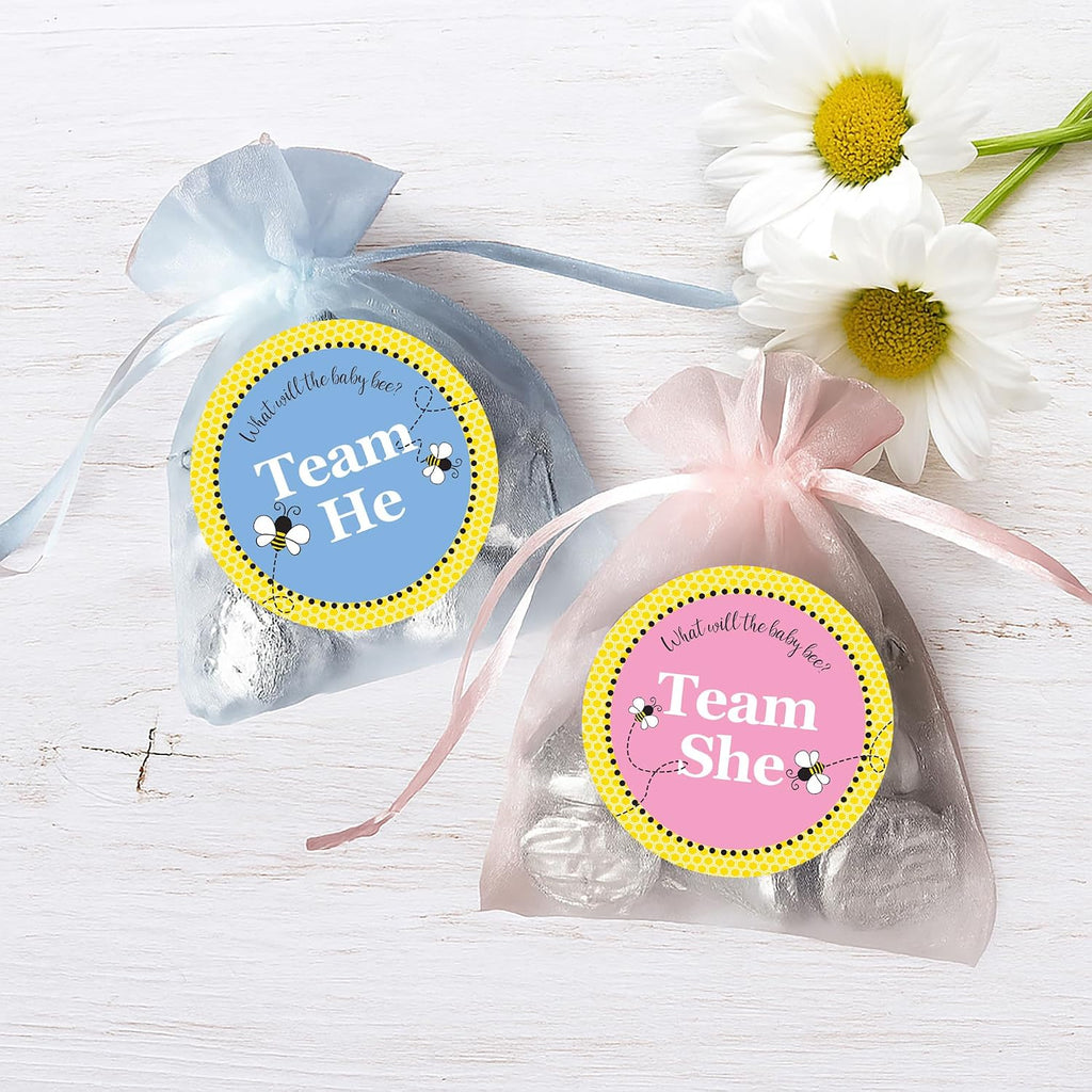 What Will It Bee Gender Reveal Voting Stickers, 40 Count | 1.75 in round, 20 Team He Blue and 20 Team She Pink, Honey Bee Bumble and Hive Theme