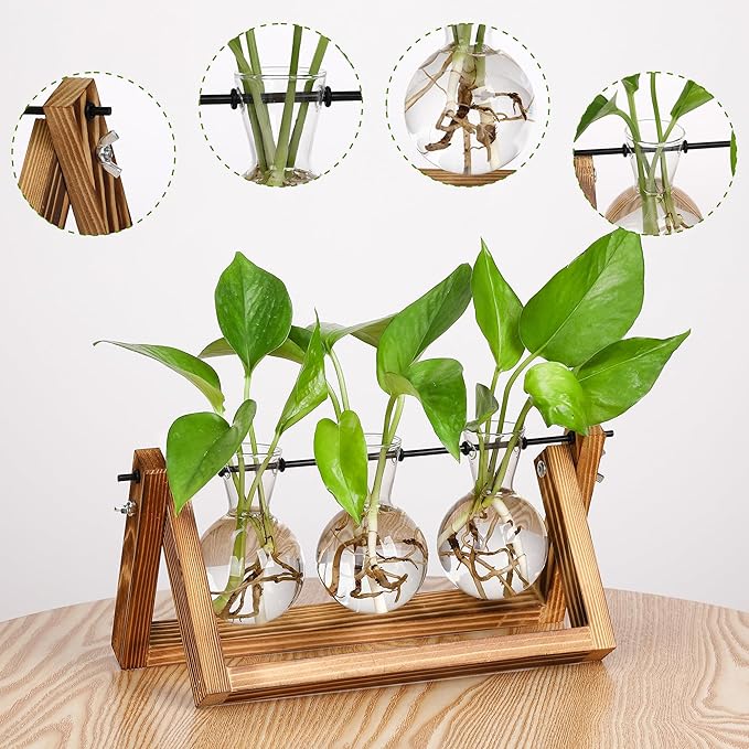 YIBOT Plants Propagation Stations,Desk Plant Terrarium with Retro Wooden Stand,Plant Lover Gifts for Women for Hydroponics Plants Home Garden Wedding Decor(3 Bulb Vase)
