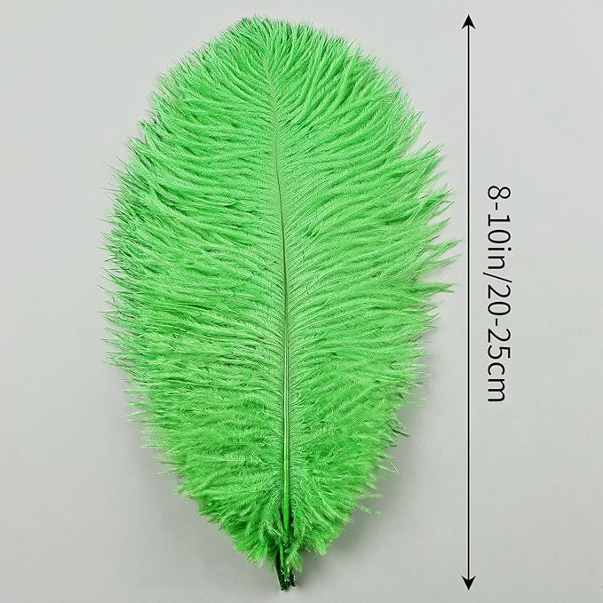 THARAHT Green Ostrich Feathers 24pcs Natural Bulk 8-10Inch 20cm-25cm for Crafts Wedding Party Centerpieces Mardi Gras and Home Decoration Feathers