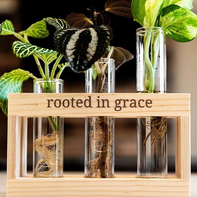 Rooted in Grace: Plant Propagation Stations: Plant Cutting Holder w/ 3 Glass Propagation Vases, Unique & Encouraging Christian Gifts for Women, Faith-Inspired Home Decor