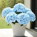 auihiay 6 bundles blue hydrangea artificial flowers for, main product view