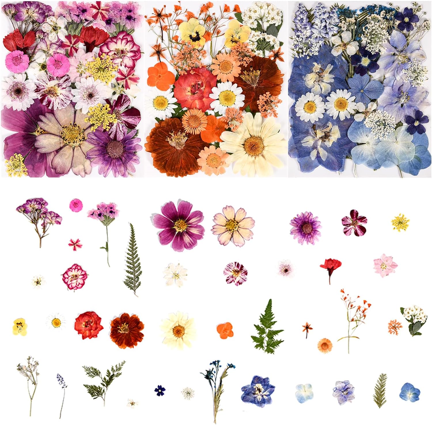 110+PCS Pressed Flowers for Resin molds Real Dried Flower Leaves for Resin Jewelry Making Dry Flowers for Scrapbooking Crafts DIY Soap Candles Making Nails Décor (Colorful-C)