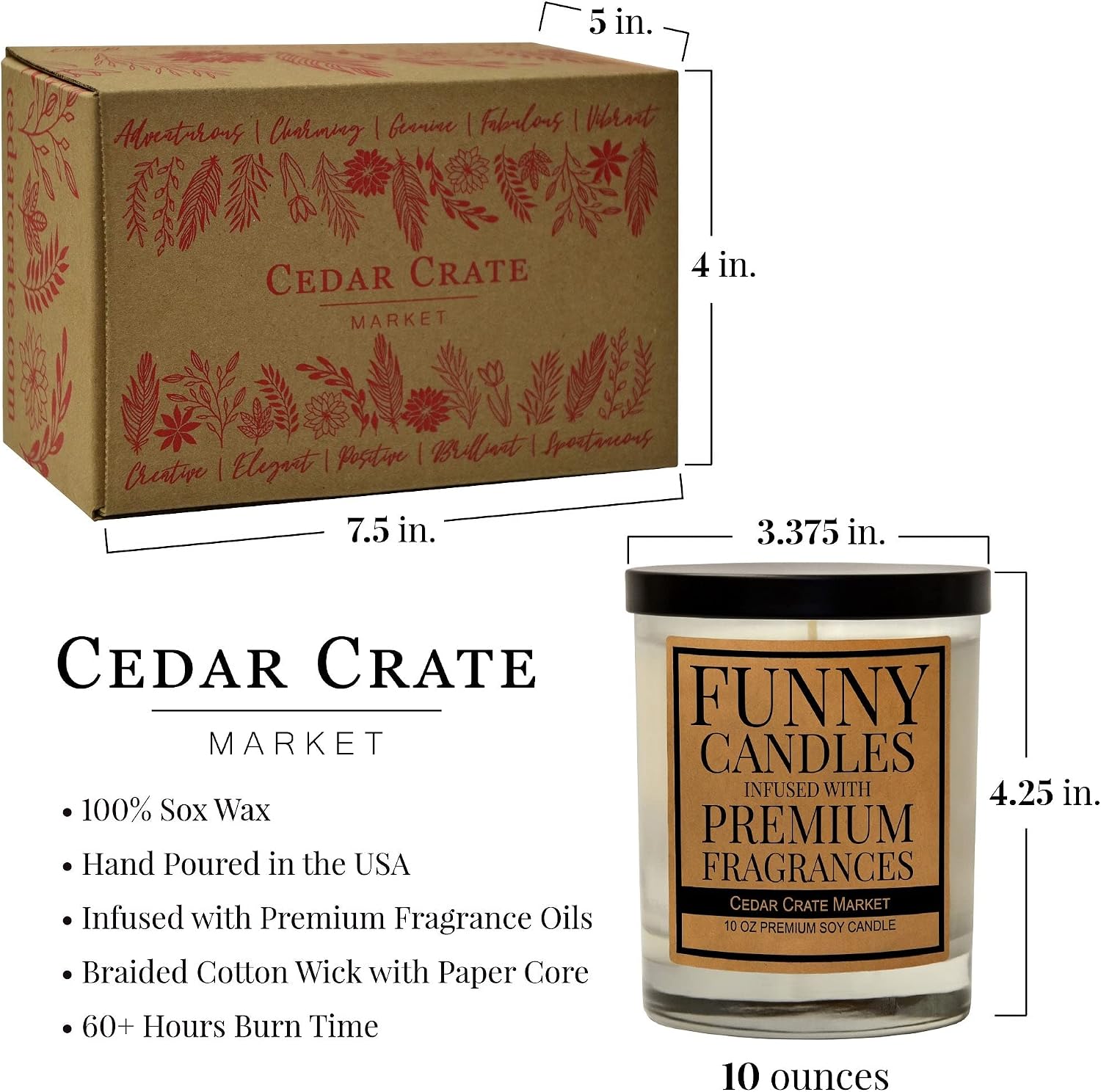 What (and I Can't Stress This Enough) The F, Best Friend, Friendship Gifts for Women or Men, Birthday, Going Away, Funny Gifts for Friends, Long Distance, Funny Candle, Scented Soy 10 oz Candle