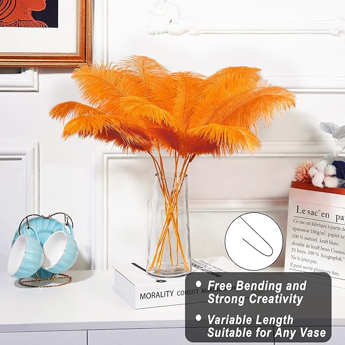 Holmgren Orange Ostrich Feathers Bulk - 20pcs Making Kit 22 Inch Ostrich Feathers for Vase, Floral Arrangement, Wedding Party Centerpieces and Halloween Home Decor (Orange)