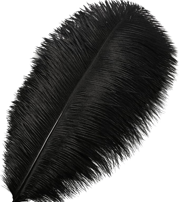 Larryhot Black Ostrich Feathers Bulk - 16-18 inch 10pcs Feathers for Vase,Wedding Party Centerpieces and Home Decorations (Black)