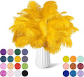 NEWONG 30pcs Gold Ostrich Feathers Natural Bulk 11-14inch(28-35cm) Vase Craft Wedding Home Party Centerpieces Christmas Day Decoration