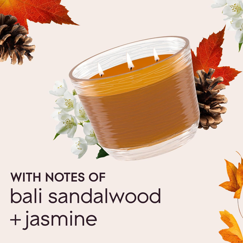 Glade Candle Cashmere Woods, Fragrance Candle Infused with Essential Oils, Air Freshener, 3-Wick Candle, 6.8 Oz, 3 Count