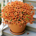 uieke 72 pcs artificial fall flowers for outdoors, main product view