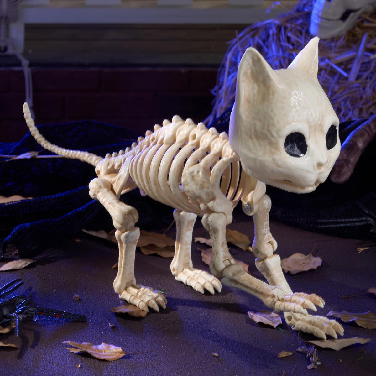 JOYIN Cat Skeleton Halloween Decorations 8 Inch Plastic Animal Skeletons with...