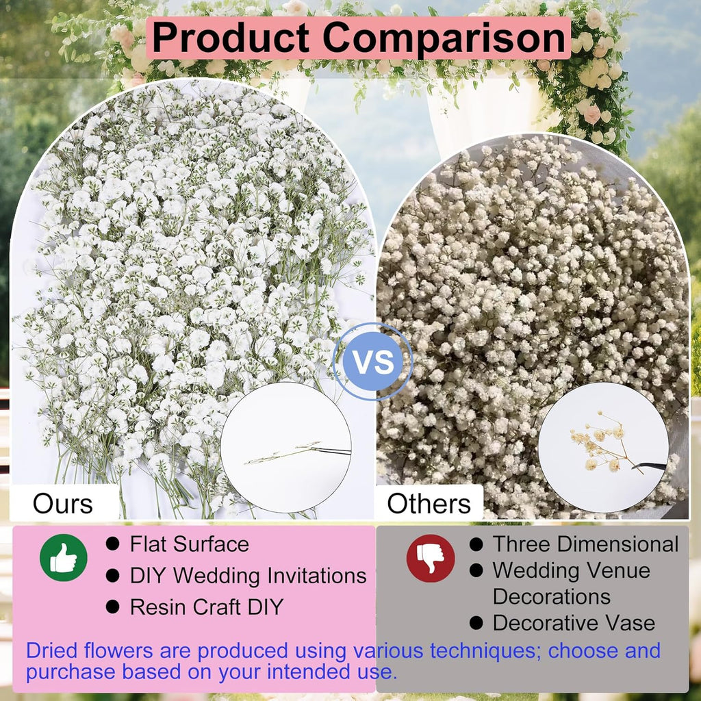 50Pcs Babys Breath Dried Pressed Flowers for Crafts,Xinxinran White Dry Flowers Kit for Wedding Invitation Accessories,Bookmark,Jewelry Molds,Candle Making Supplies,Soap,Frame,Cakes