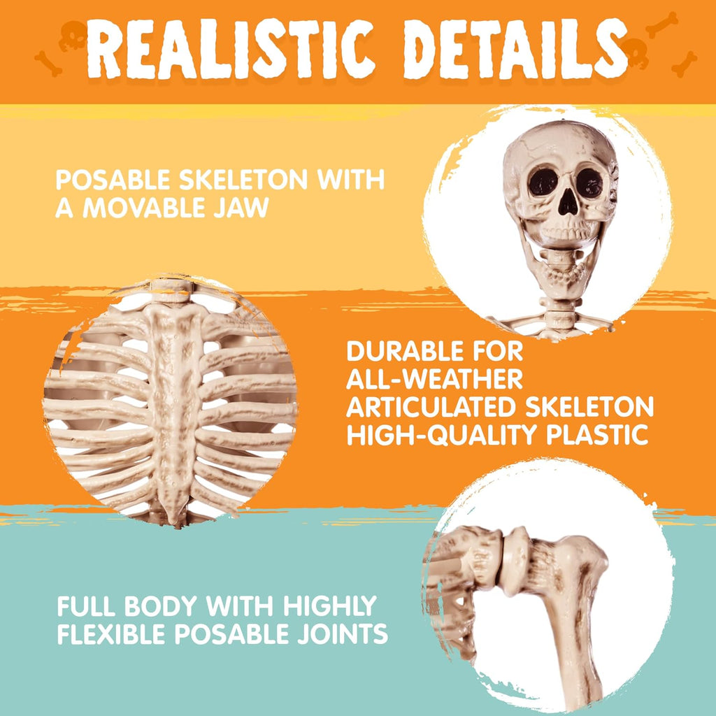 joyin 5.6 ft halloween posable life size skeleton showing dimensions