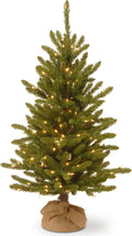 national tree company 4ft pre-lit kensington mini artificial, main product view