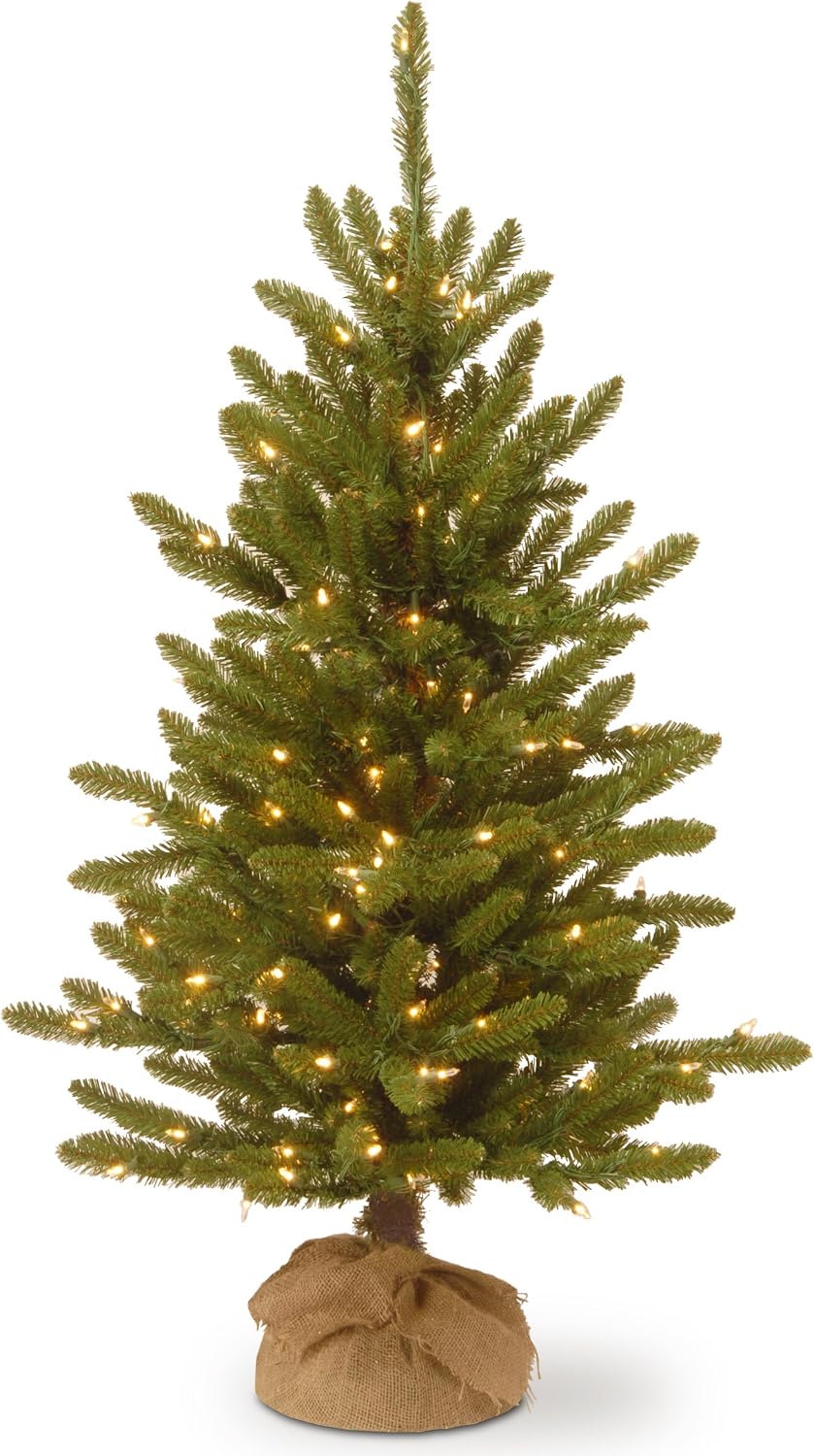 national tree company 4ft pre-lit kensington mini artificial, main product view