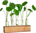 YIBOT Propagation Stations, Plant Terrarium with Wooden Stand, Birthday Gardening Gifts for Women Mom Plant Lovers,Home Office Desk Decor, 5 Glass Test Tubes Vases
