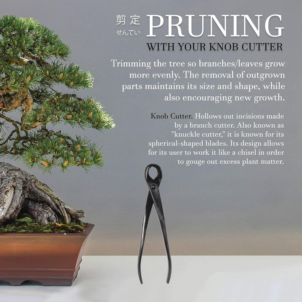 BambooMN Bonsai Tool Kit - 8" Concave Cutter & 8" Knob Cutter -...