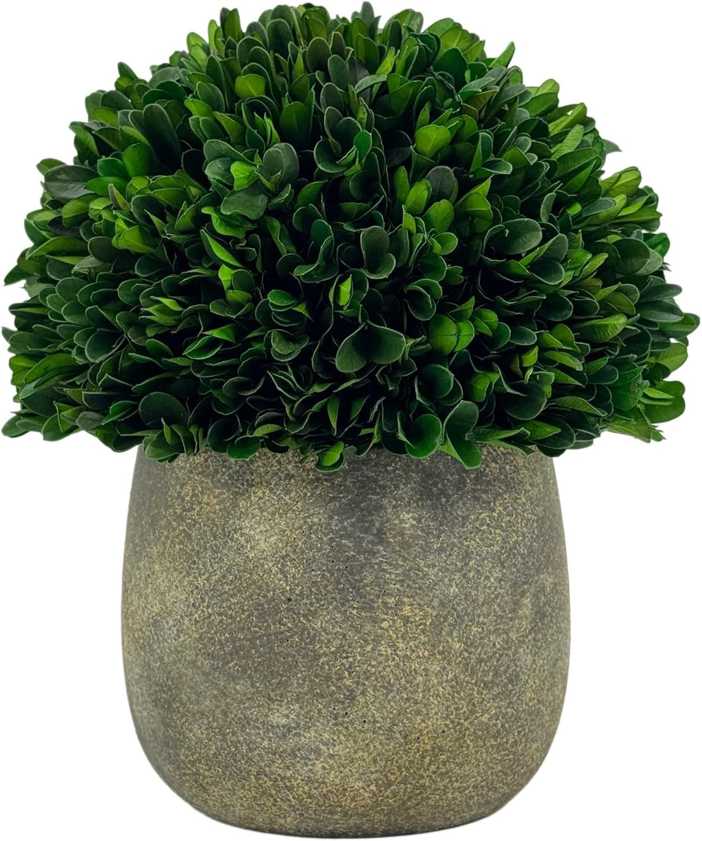galt international preserved natural boxwood ball in grey shown in use