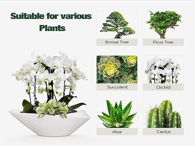 Bonsai Tree Pot - 12 Inch Ceramic Planter with Drainage Hole, Modern Succulent Pots for Indoor & Outdoor, Decorative Planter for Home Decor, Plant Lover Gifts, White-Black