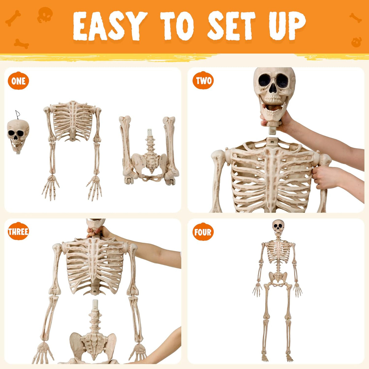 JOYIN 5 FT Halloween Skeleton Life Size, Stayable Posable Skeleton Decor, Ful...
