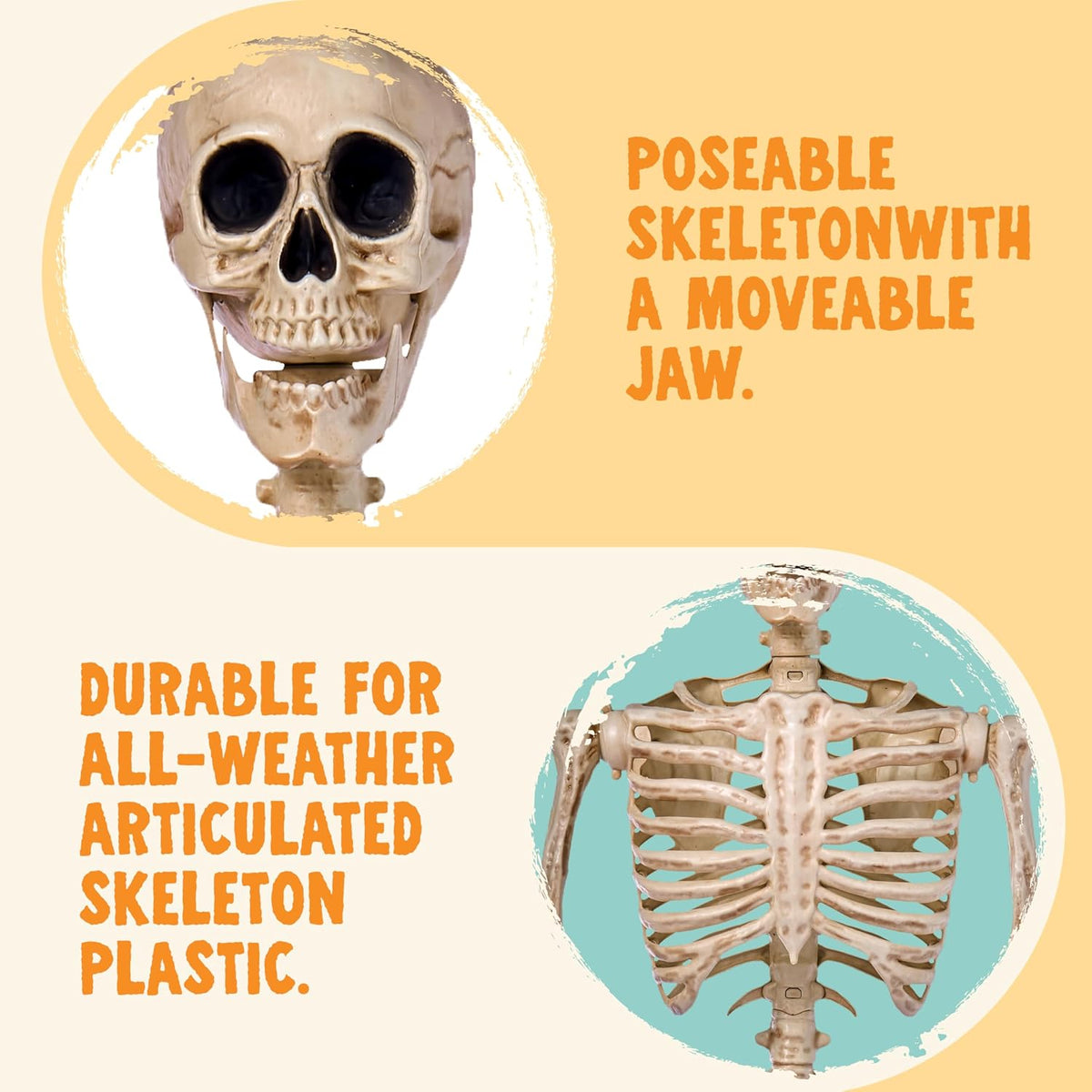 JOYIN 5 FT Halloween Skeleton Life Size, Stayable Posable Skeleton Decor, Ful...