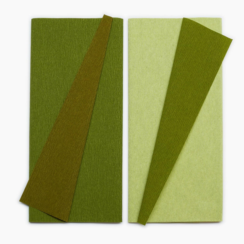 Lia Griffith Double Sided Crepe Paper Folds Roll, 6.7-Square Feet, Green Tea and Cypress, Ferns and Moss
